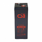 CSB MSJ 260