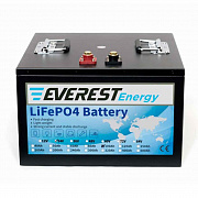Everest LFP-24V100Аh