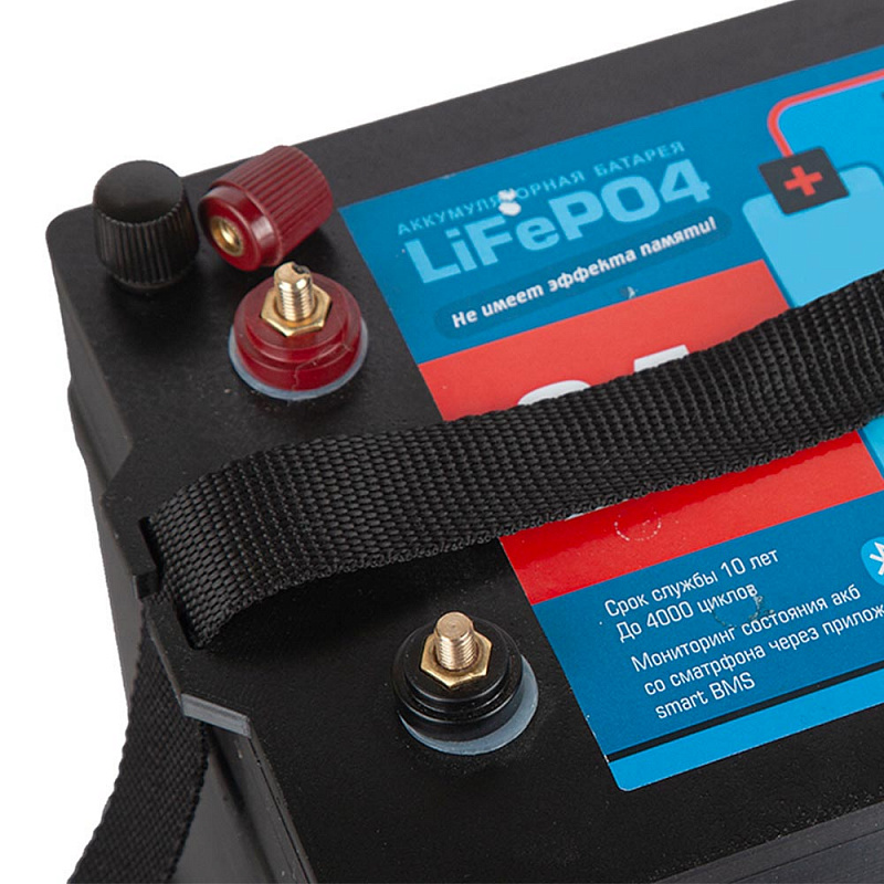 Аккумулятор Rutrike LiFePO4 24V50Ah (80A)