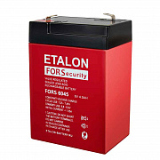 Etalon FORS 6045