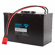 Rutrike LiFePO4 24V112Ah (100A)