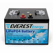 Everest LFP-24V80Аh