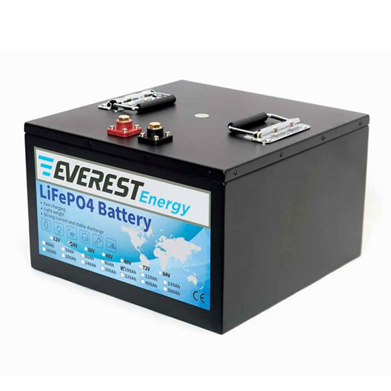 Аккумулятор Everest LFP-24V100Аh