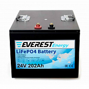 Everest LFP-24V202Аh