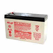 Enersys Powersafe NPX24-12