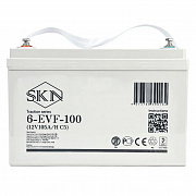 SKN 6-EVF-100